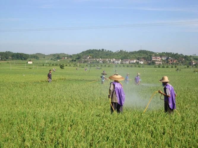 農藥廢水,電催化氧化設備,電催化反應器,電催化氧化裝置